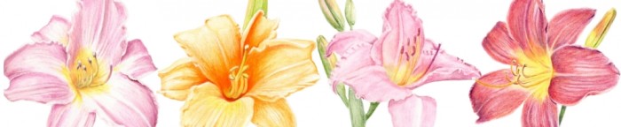 botany_banner.jpg (26 KB)