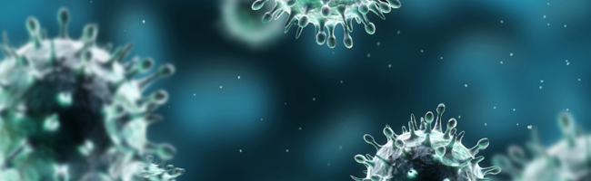 microbiology_banner.jpg (74 KB)